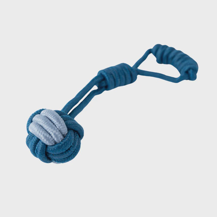 Tug Toy Blue