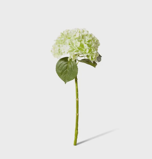 Hydrangea Classic Stem White 30x20x52cm