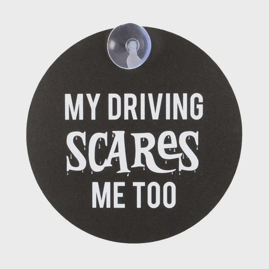 My Driving Scares me too