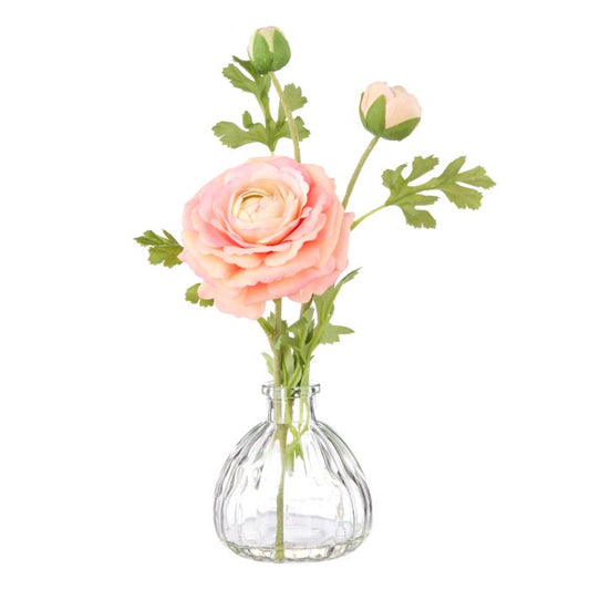 Ranunculus-Glass Vase25cm