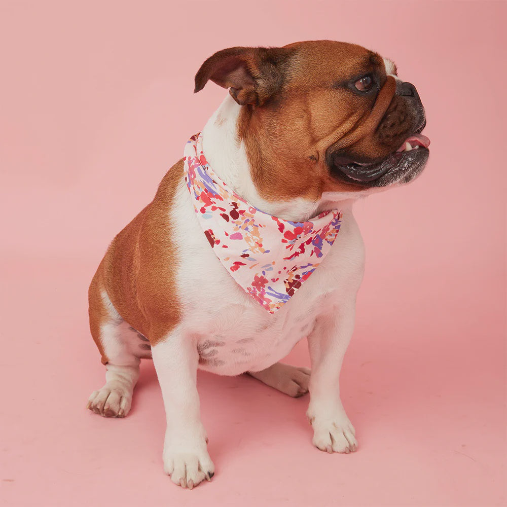 BANDANAS - BOLD FLORAL