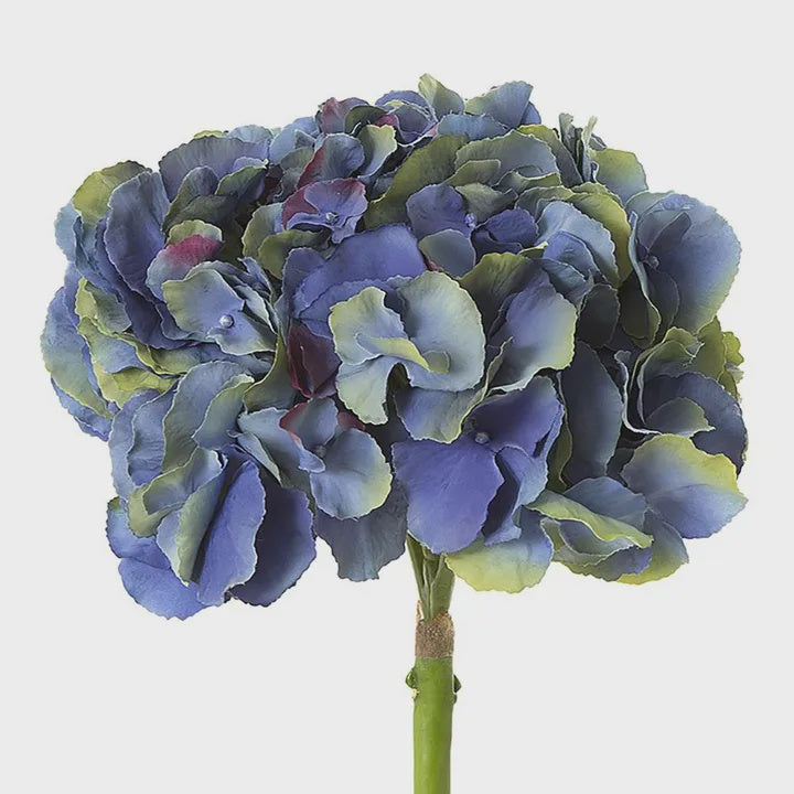Hydrangea 50 cm Dark Blue