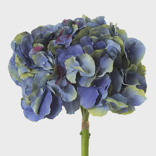 Hydrangea 50 cm Dark Blue