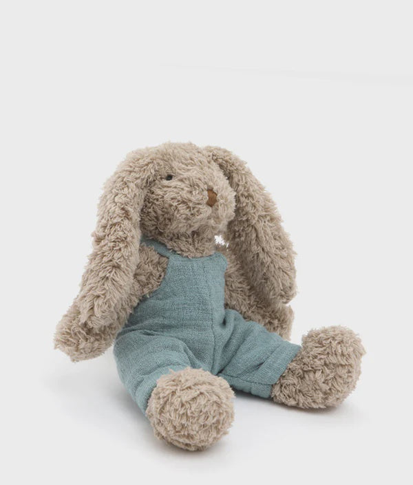 Baby Honey Bunny Boy Blue