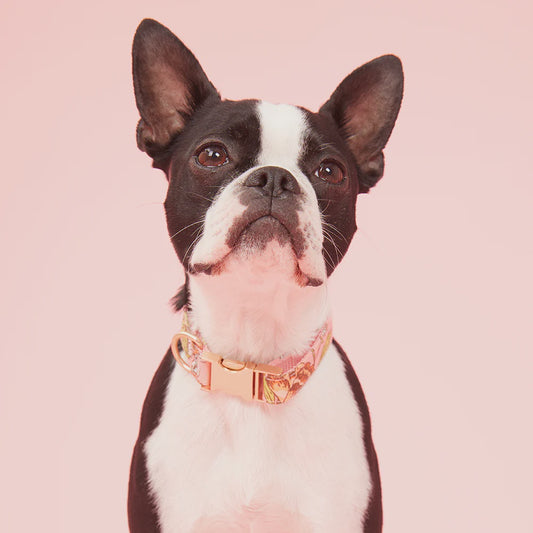 COLLARS - FLORAL PINK PRINT