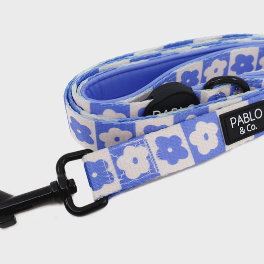Blue Checkered Daisies: Dog Leash