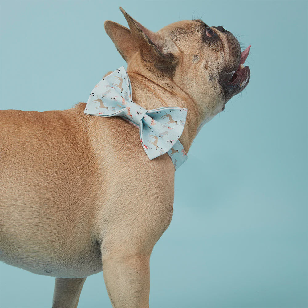 BOW TIE - BLUE DOG