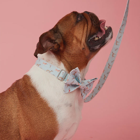 DOG LEASH - BLUE DOG