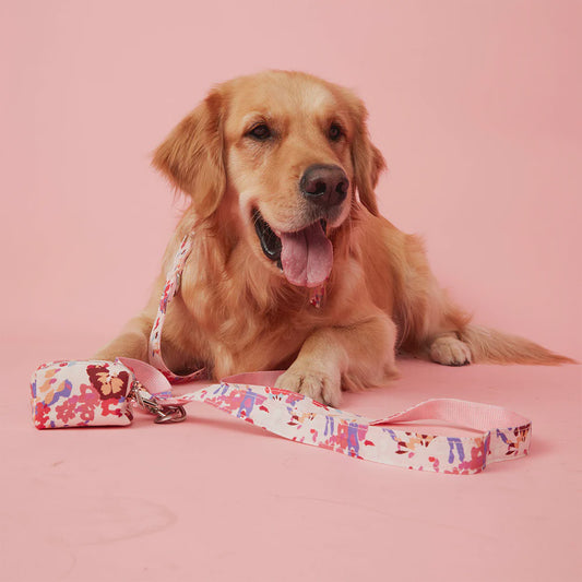DOG LEAD - BOLD FLORAL