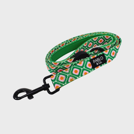 70's Style: Dog Leash