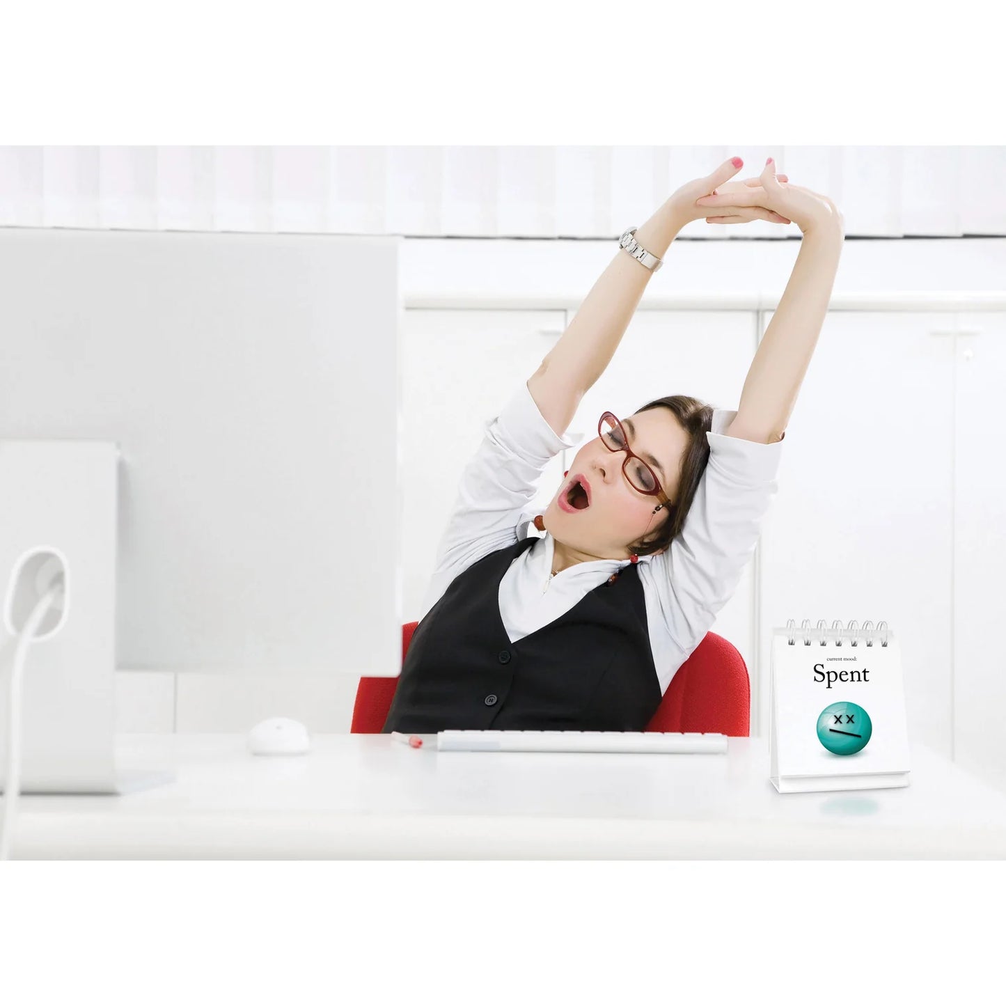 The Daily Mood Desktop Flip Book