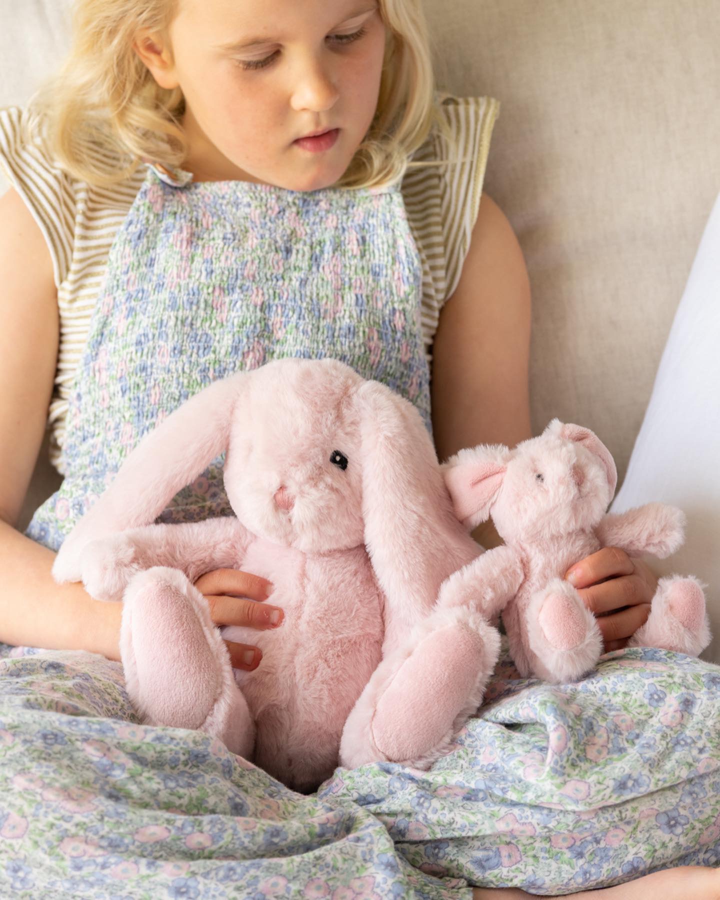 Pixie the Bunny