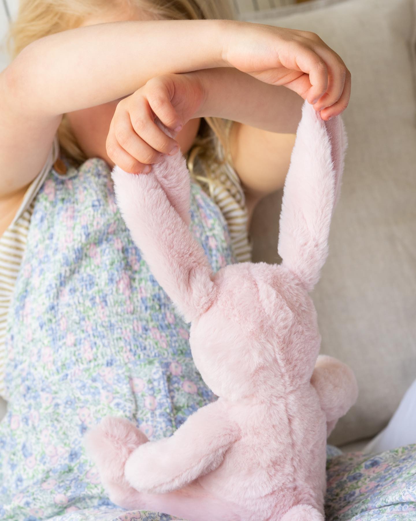 Pixie the Bunny