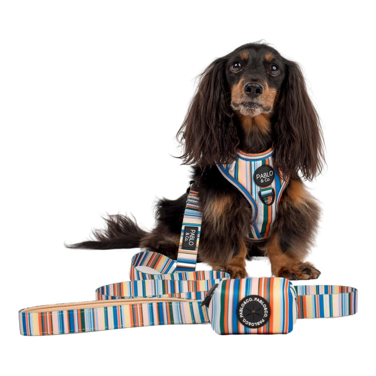 The Cabana - Poop Bag Holder