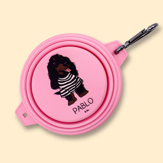 Collapsible Dog Water/Food Bowl - Pink