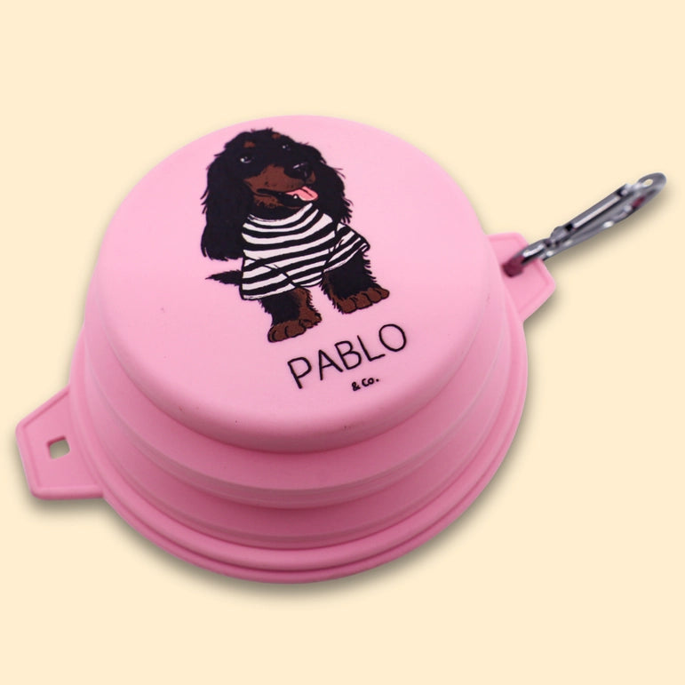 Collapsible Dog Water/Food Bowl - Pink