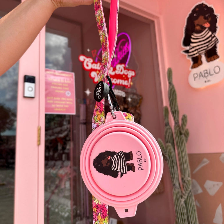 Collapsible Dog Water/Food Bowl - Pink