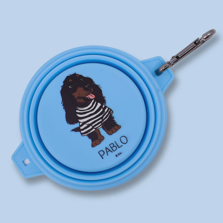 Collapsible Dog Water/Food Bowl - Blue