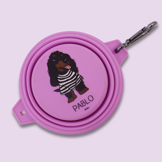 Collapsible Dog Water/Food Bowl - Purple