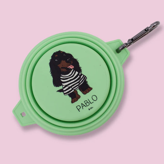 Collapsible Dog Water/Food Bowl - Lime