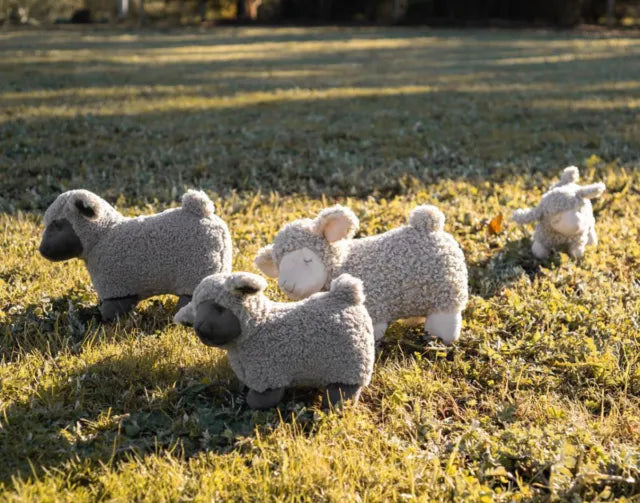 Charlotte The Sheep Black