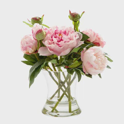 Peony in Water in Glass Vase ( Dark Pink or White)