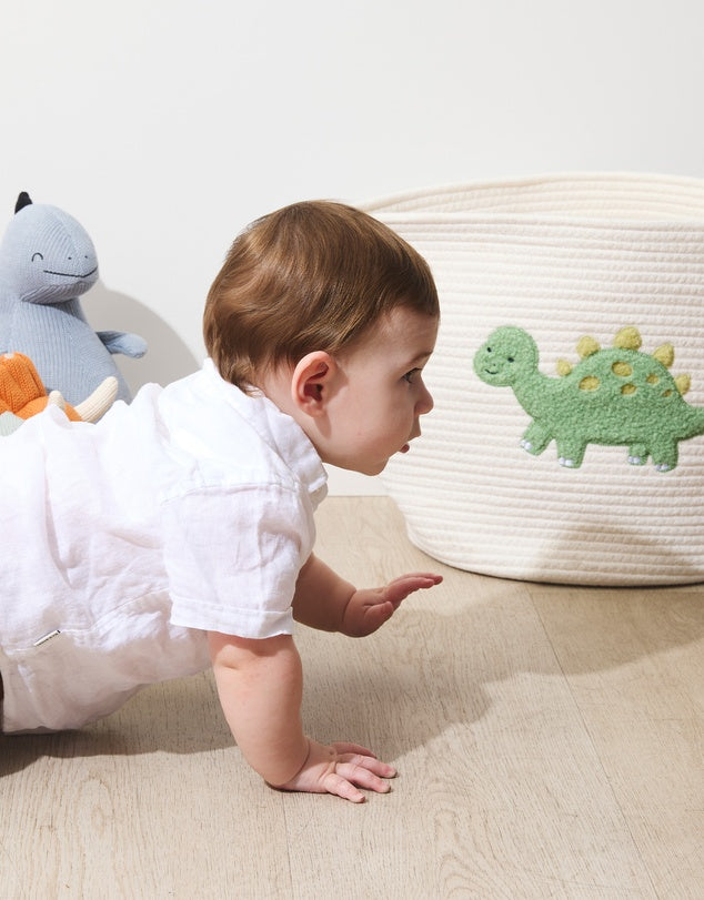 Cotton Rope Embroidered Hamper - Dinosaur