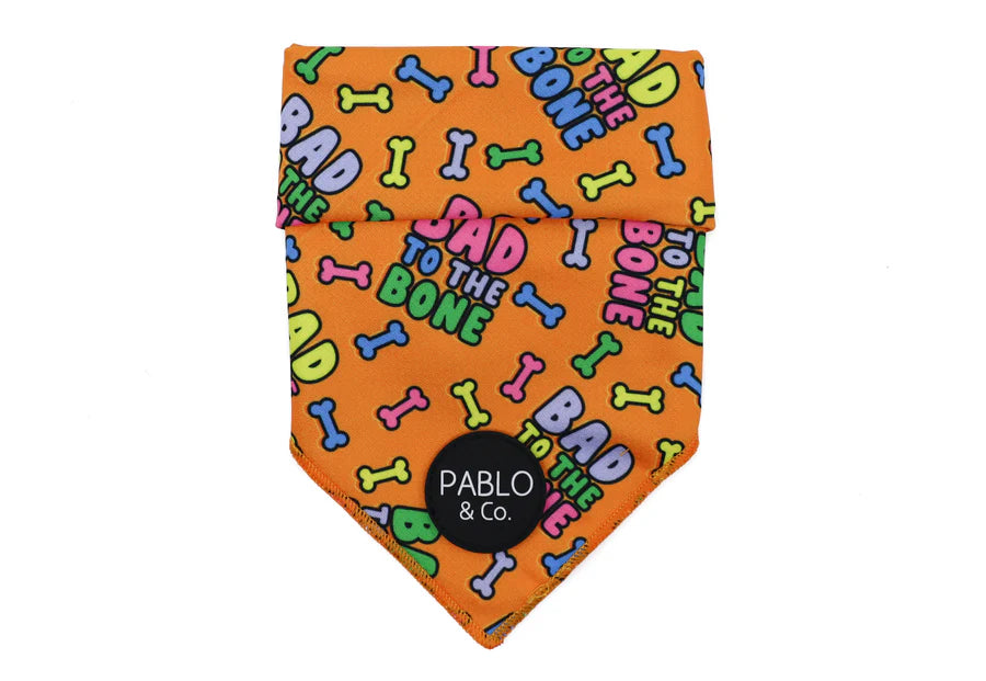 Bad to the Bone Dog  Bandana - Small