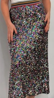 Sequins Skirt (Multi Colours)