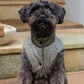 DOGUE Tweed Puffer Dog Jacket - Hunter Green