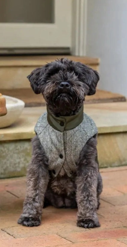 DOGUE Tweed Puffer Dog Jacket - Hunter Green