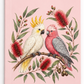 Australian Birds A6 Notebook 80 pages Pink