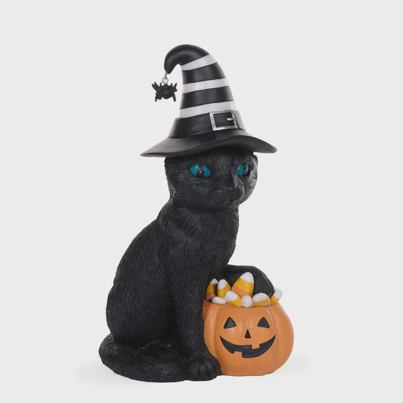 Salem The Halloween Cat