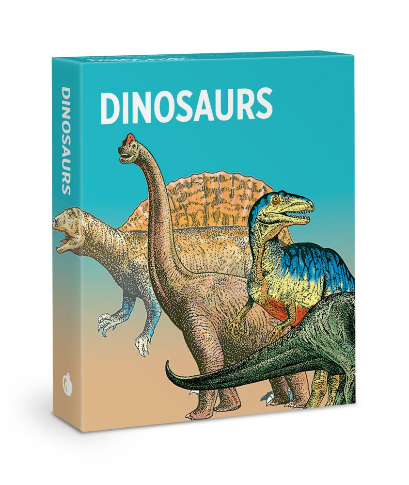 Knowledge Cards-Dinosaurs