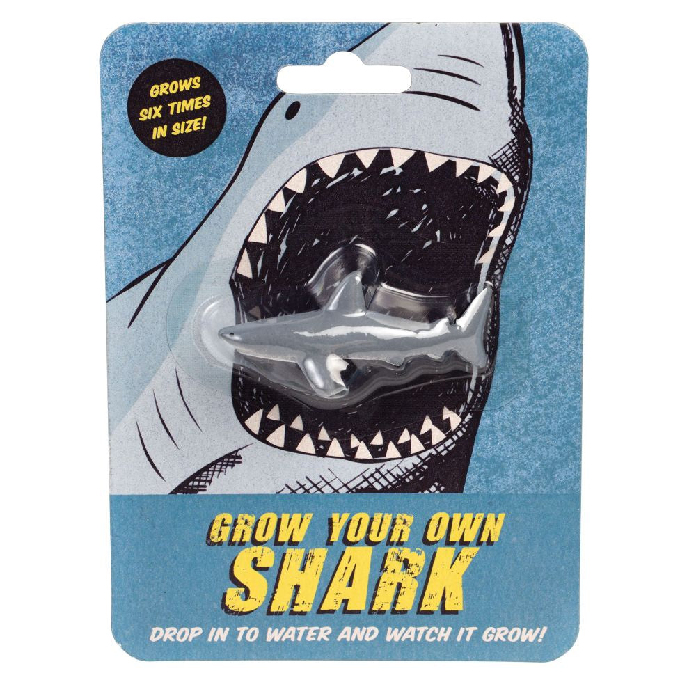 Grow your own shark