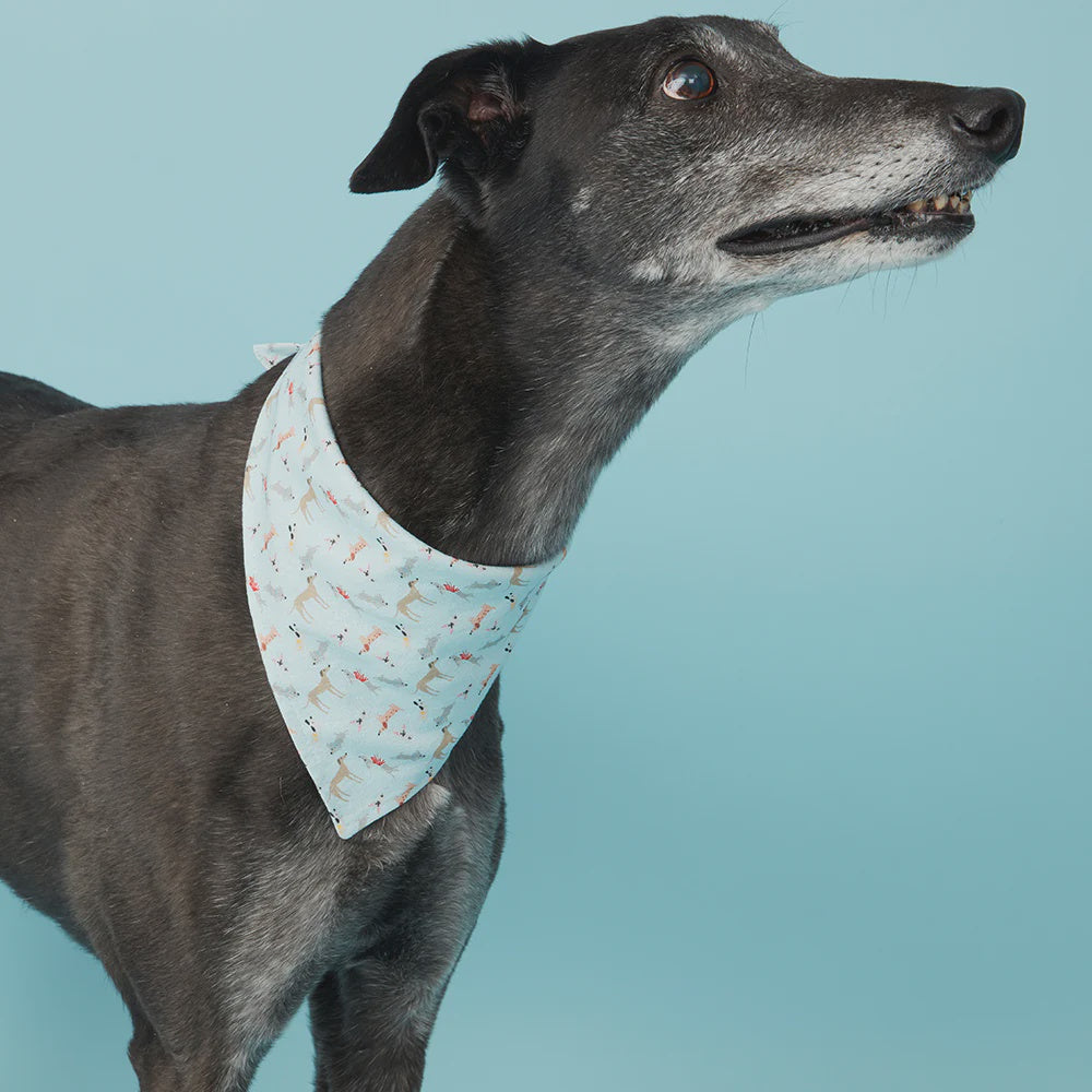 DOG BANDANA - BLUE DOG