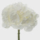 Hydrangea 50cm White