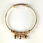 Aaron Bangle Gold