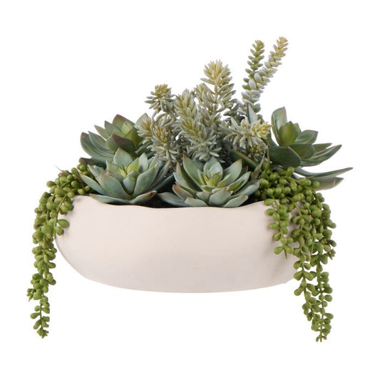 Succulent Garden - Lyon Bowl Planter