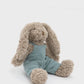 Baby Honey Bunny Boy Blue