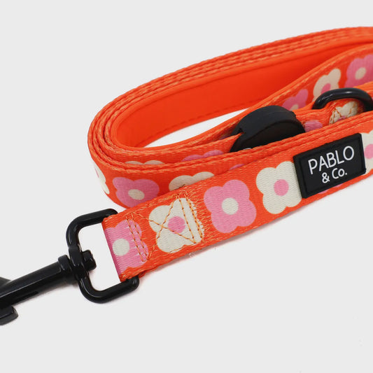 Pink Checkered Daisies: Dog Leash
