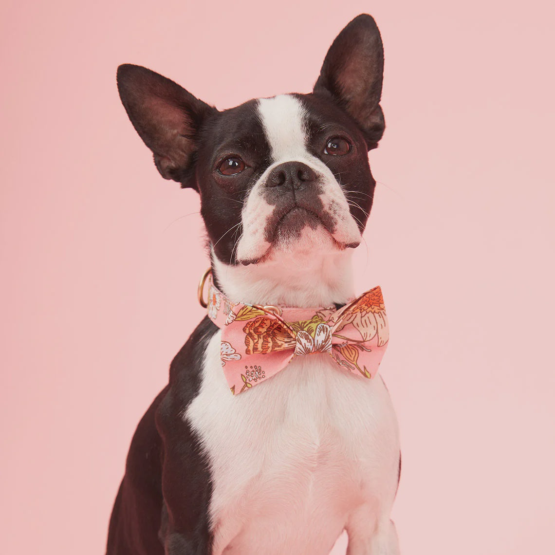 BOW TIE - FLORAL PINK PRINT