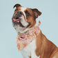 BANDANAS - FLORAL PINK PRINT