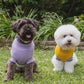 DOGUE Stripey Joe Dog Jumper (Purple)