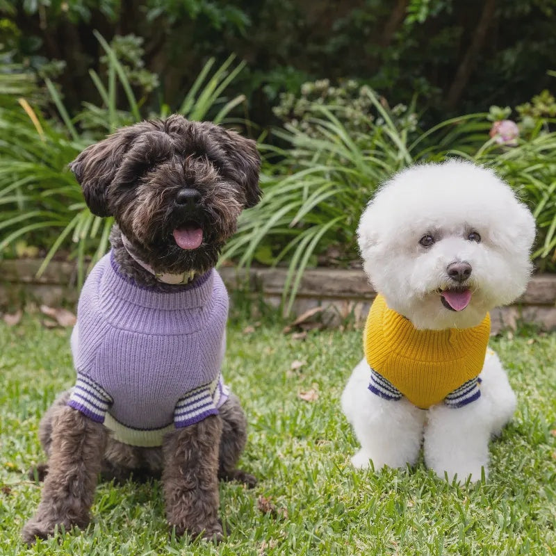 DOGUE Stripey Joe Dog Jumper (Purple)