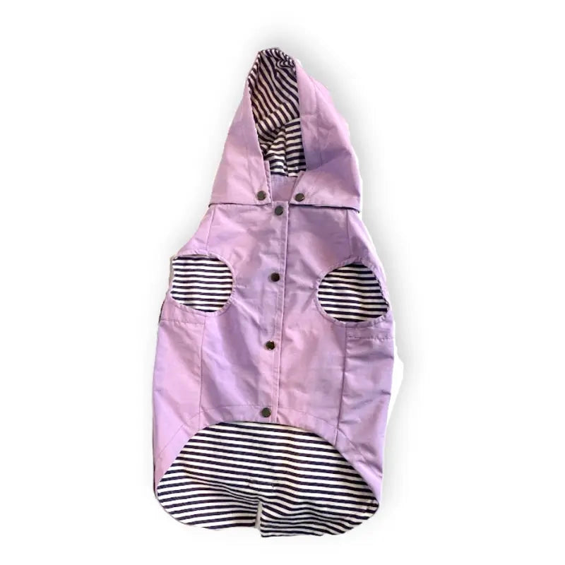 DOGUE Essential Dog Raincoat Purple