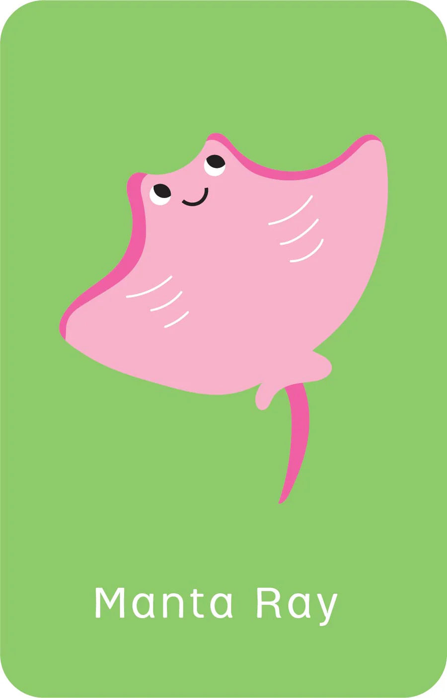 Little Genius Snap Cards - Go Fish
