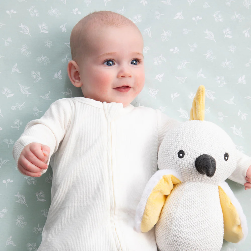 Colin the Cockatoo Knitted Toy