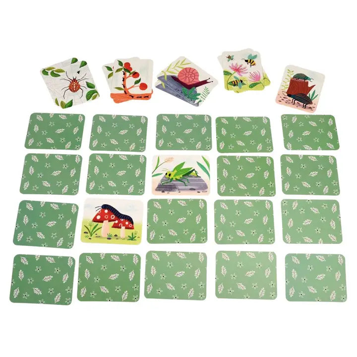 Memory Game - Wonders of Nature