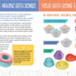 Bath Bombs Deluxe Book & Kit